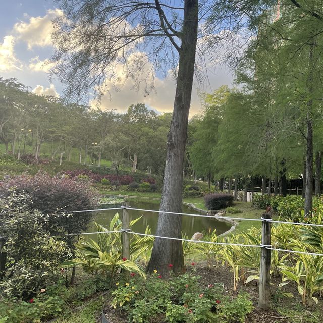 青衣好去處