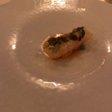 ESqUISSE用戶圖片