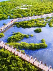 Экологический туристический район мангрового залива Хэйхай