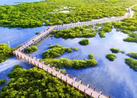 Экологический туристический район мангрового залива Хэйхай