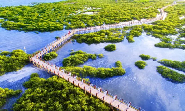 พื้นที่ท่องเที่ยวระบบนิเวศป่าชายเลนอ่าวโกลเด้นเป่ย