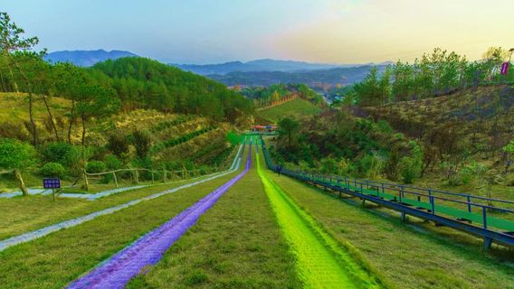 Grass Skiing in Huanggang