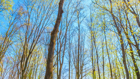 Shuiyuanshan Park (North Gate)