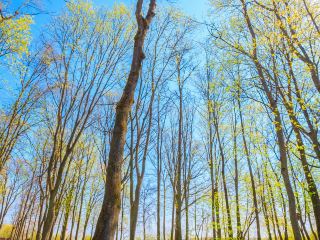 北京到佳木斯飛行時間