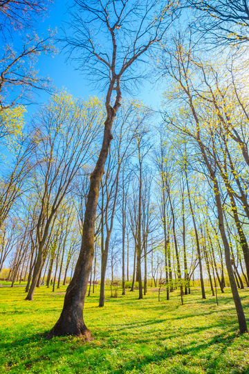 Shuiyuan Mountain Park