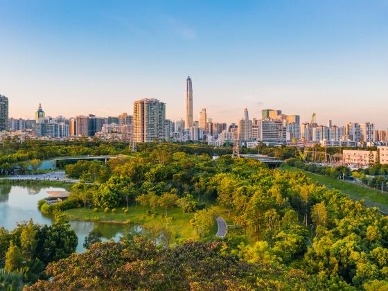 Futianhongshulinshengtai Park