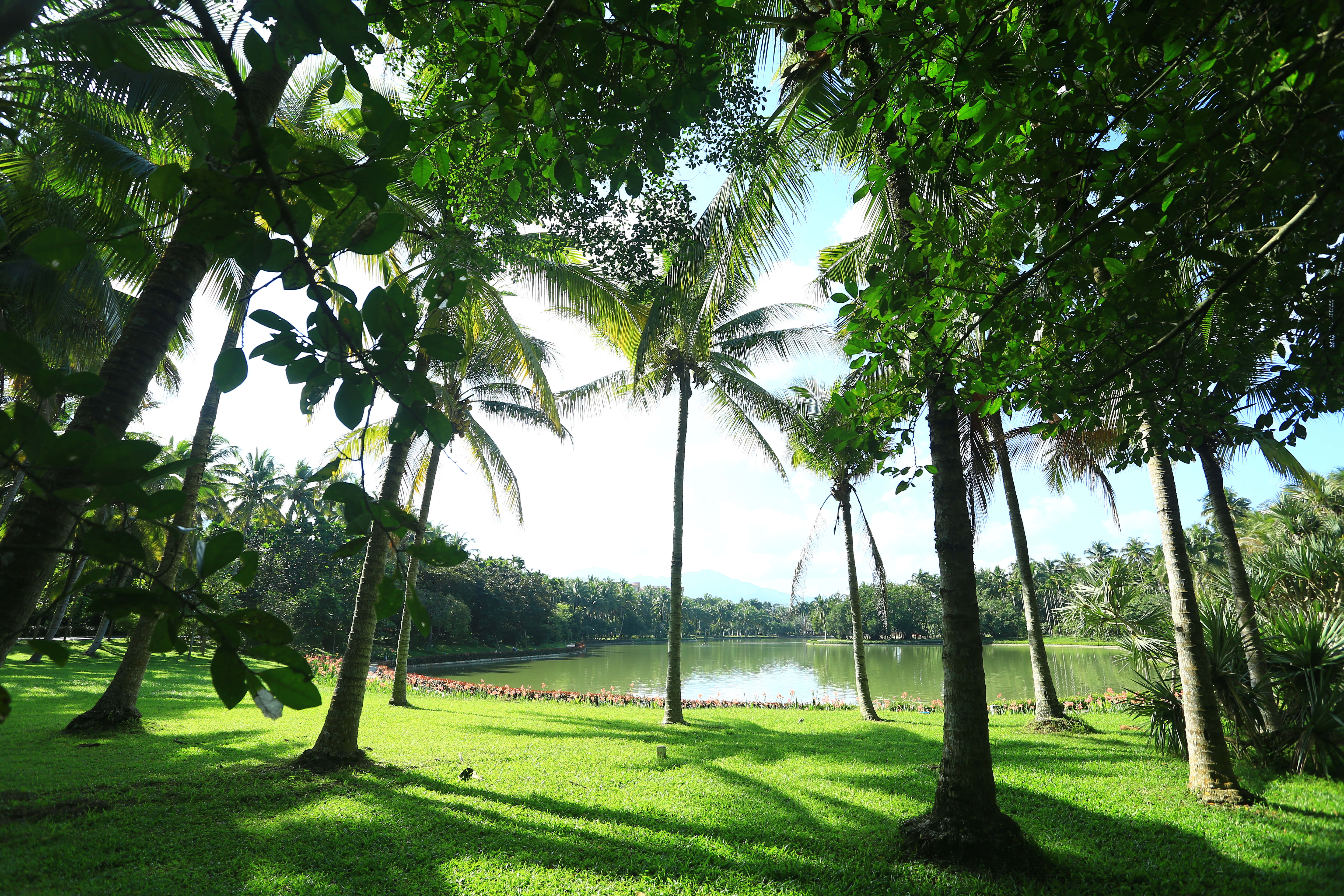 Must-see Attractions