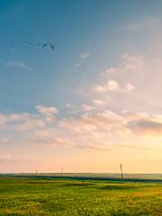 Qinghai Lake Horse-riding Yard