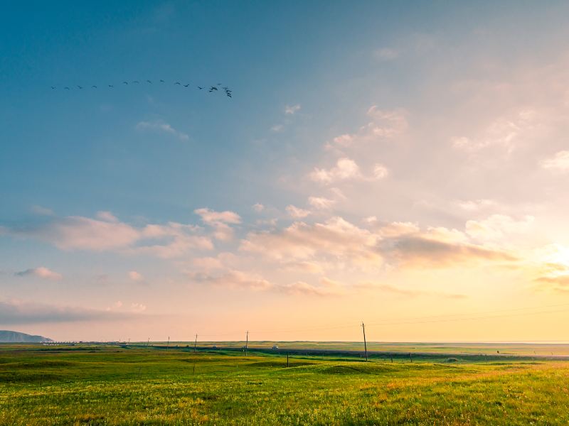 Qinghai Lake Horse-riding Yard