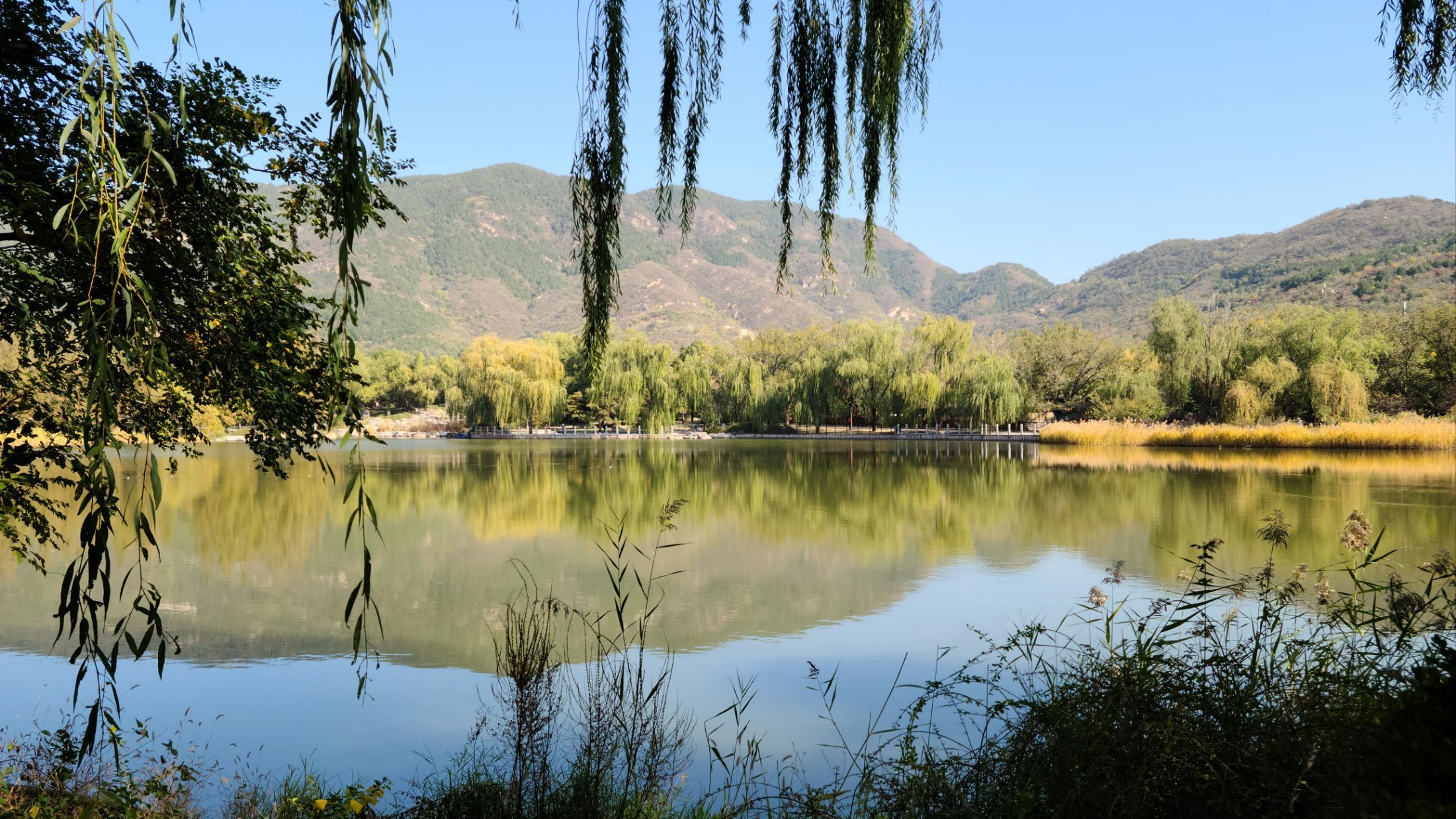 半月湖畔自然公園旅遊攻略指南 半月湖畔自然公園評論 半月湖畔自然公園附近推薦 Trip Com 半月湖畔自然公園旅遊攻略指南 半月湖畔自然公園評論 半月湖畔自然公園附近推薦 Trip Com