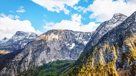 Hallstatt Half-Day Tour from Salzburg, Austria