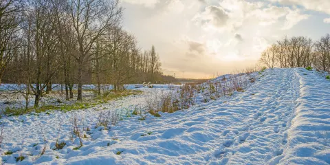 有珠山噴火紀念公園