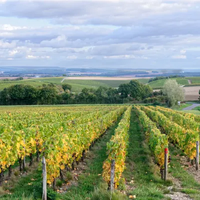 Отели с услугой Номер с балконом в г. Скаджит