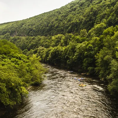 Бутик Отели в г. Дамбулла