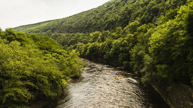 Хоумстей в г. Элла
