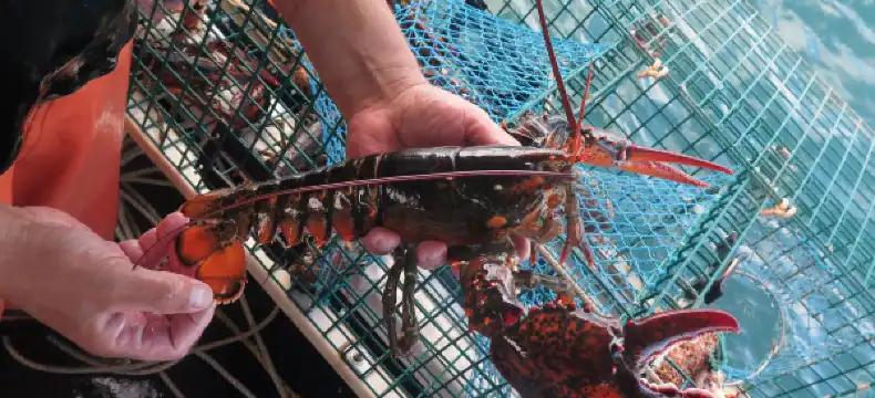 Hoteles con Wifi en Maine, Estados Unidos