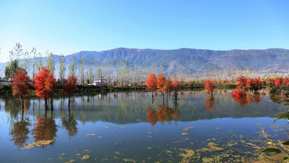 Fengyu Town