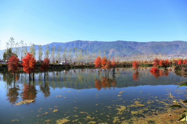 Fengyu Town