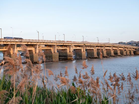 Ninghai Bridge