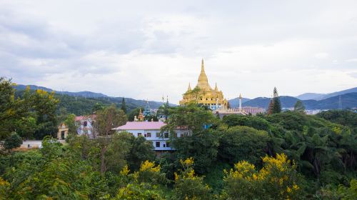 打洛森林公園