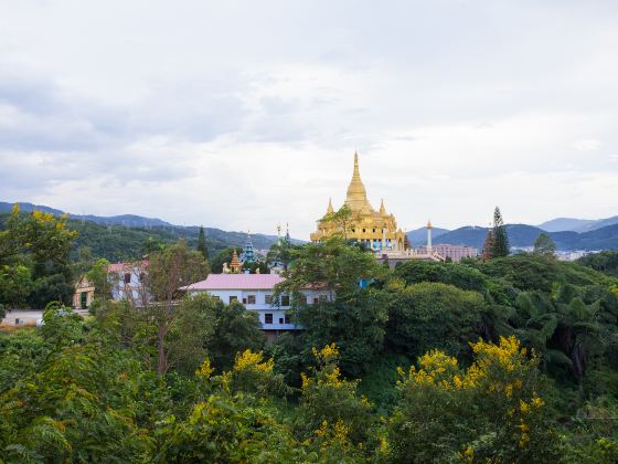 打洛森林公園