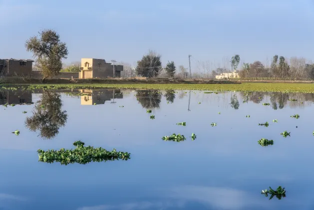 Vé máy bay Peshawar Jaipur