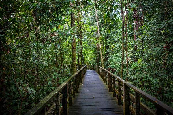 Voli da Kota Kinabalu per Sandakan