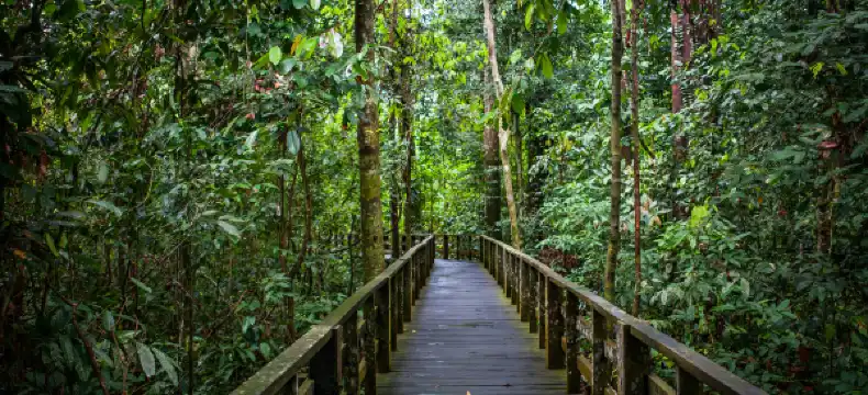 Hotels in Sandakan