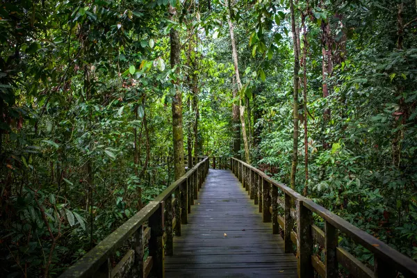 Các khách sạn ở Sandakan