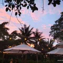 Beach Barbacoa at EDITION User Photo