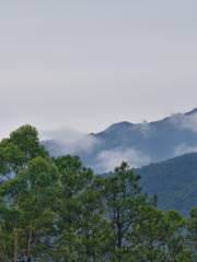 Nanshan Conghuanggou Sceneic Area