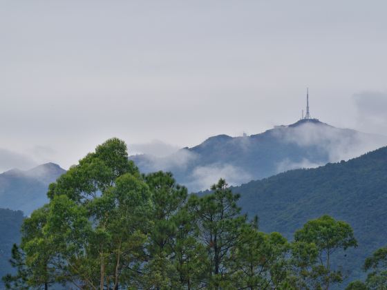 南山聰皇溝景區