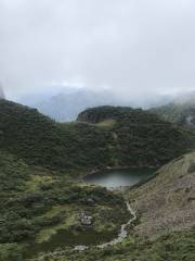 Shenhu Lake