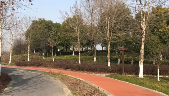 Jiangonghu Botanical Garden