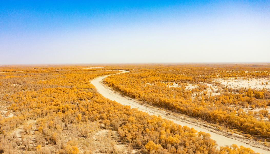 Xishuangbanna to Tumxuk Flights