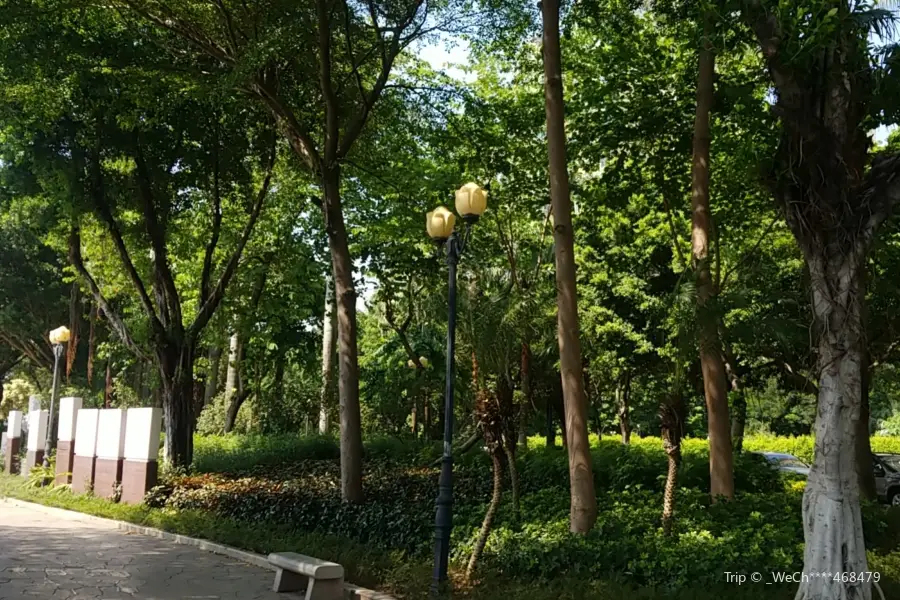 廣州志願者公園