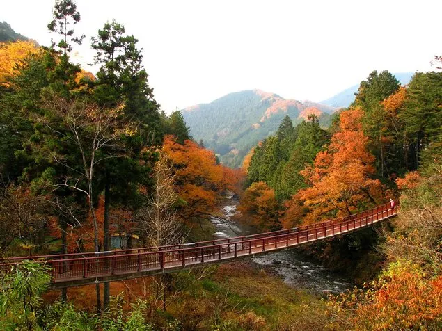도쿄여행