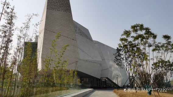 Ticket für das Naturkundemuseum + Führung bis 2-stündige Privattour mit Tiefgehende persönliche Führung