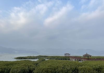 Mangrove Coastal Park, Beishan Mountain