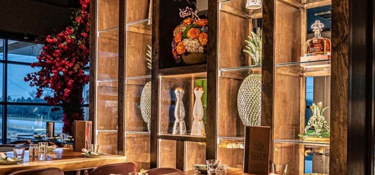 Verde - Flavors of Mexico - Zionsville