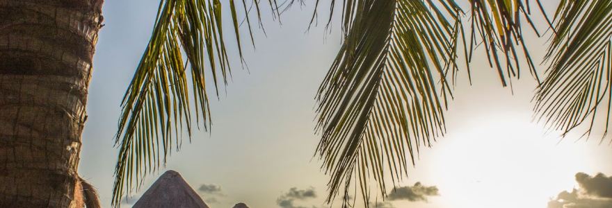 NAVIOS Fusion Mexican Food