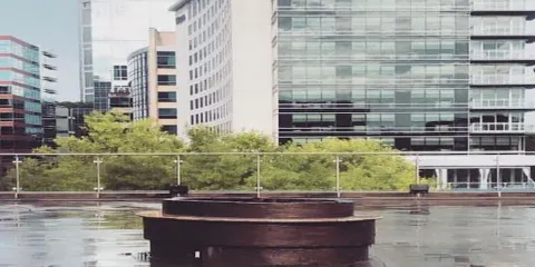 Rose Rooftop & Restaurant