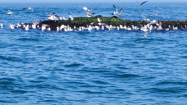 Long Island Xiaoqin Island Gold Coast Leisure Resort Center