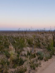 Frank Hann National Park