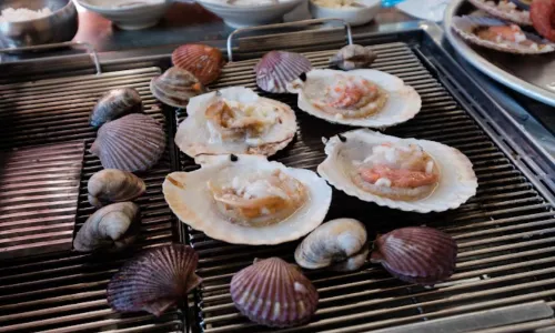 海底貝殼王國
