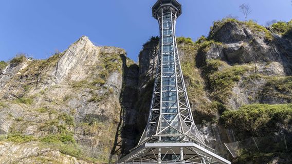 Vertical Sightseeing Elevator