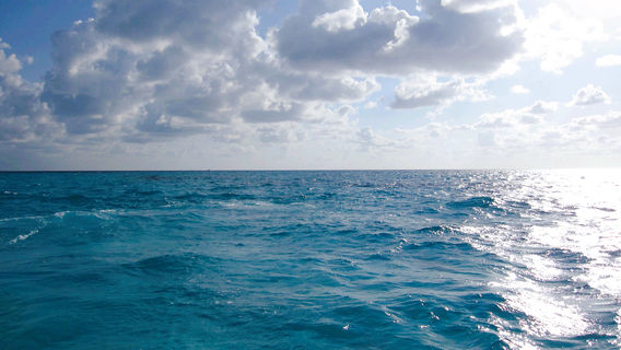 Fishing Headquarters