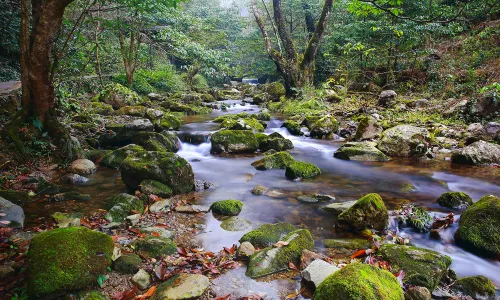 Huizhou Grand Canyon