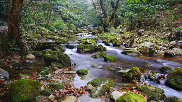 Huizhou Grand Canyon