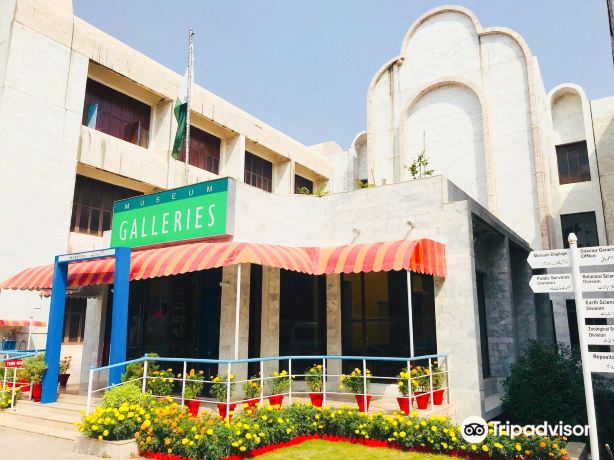 Pakistan Museum of Natural History